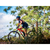 Bicicleta MTB Aro 29 Caloi Elite Carbon Full Suspension 12V