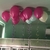 Eventos Sociales GLOBOS X 20 UNIDADES DISEÑOS EXCLUSIVOS en internet