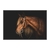 Quadro Cavalo Marrom Perfil Fundo Preto ANIC039