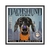 Quadro Decorativo Cachorro Dachshund ANIP112