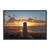 Quadro Decorativo Cachorro Pôr Do Sol ANIP047