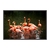 Quadro Decorativo Flamingos Em Lago ANIF027