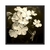 Quadro Decorativo Flor Plumbago Sépia FLO247