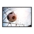 Quadro Decorativo Futebol Gol ESPF004