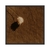 Quadro Decorativo Galho Seco Tom Nude FOL274