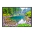 Quadro Decorativo Natureza Paisagem Lago NAT147