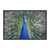 Quadro Decorativo Pavão Luxo ANIV019