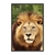 Quadro Decorativo Rosto Leão Vertical ANIL022