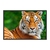 Quadro Decorativo Rosto Tigre ANIT008