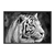 Quadro Decorativo Tigre Preto E Branco ANIT011
