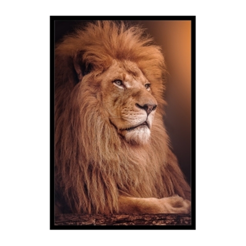 Quadro Decorativo Leão Luxo Rei Da Selva ANIL005