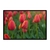 Quadro Tulipas Flores De Campo FLOT004