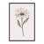 Quadros Decorativos Kit Com 3 Peças Composição De Flores Em Desenho E Colorido FLO169170171 - comprar online