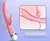 Vibrador Conejo Estimulador De Clítoris Y Punto G Recargable - DULCE SEX SHOP