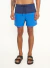 Beachshort Colcci na internet