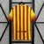 CAMISA BARCELONA II - 13/14 - comprar online