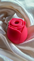 Frô - Rosa Sugadora