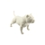 American Bully Decoração 3D - comprar online