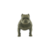 American Bully Decoração 3D