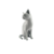 Imagem do Gato Pelô Curto Brasileiro Pet