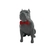 Pitbull Macho Orelha Cortada com Gravata Miniatura Decoração 3D - BR 3D