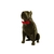 Pitbull Macho Orelha Cortada com Gravata Miniatura Decoração 3D