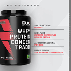 WHEY PROTEIN CONCENTRADO DUX - POTE 900G - comprar online