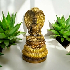 Buda protegido por la Serpiente Mucalinda en internet