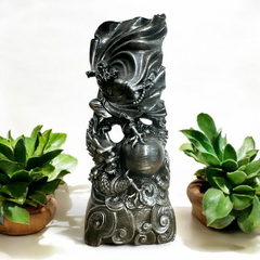 Dharma con Dragón en internet