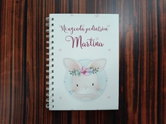 Agenda Pediatrica Personalizada en internet