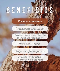 MIRRA en internet