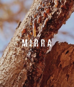MIRRA - comprar en línea