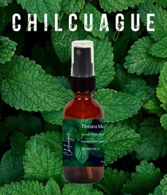 CHILCUAGUE - comprar en línea