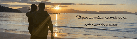 Banner rotativo 1