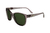ELIZABETH ARDEN - CLARICE SUNGLASS - comprar online