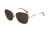 ELIZABETH ARDEN - GINA SUNGLASS