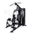 Estação de Musculação Comercial FT 13000 - comprar online