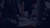Banner de Winner Fitness