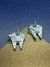 Halcón Milenario Aretes on internet