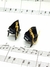Aretes Piano on internet