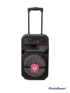 PARLANTE BT-2081 PORTATIL DE PISO