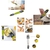 Cuchara Ajustable Medidora mod.CY094