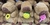Peluche Capibara Mod.G12 - comprar en línea