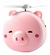 Espejo led de cerdito
