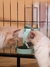 Dispensador de Agua o Comida para Mascota mod.CY745  en internet