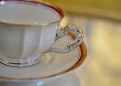 Hermosa Taza para Cafe Furstenberg Germany Ivory con vivo Bordo y Oro C1920 - Funcy Stuff Antiguedades
