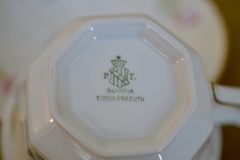 Imagen de Taza y Plato para Te ,Porcelana PT Tirschenreuth Bavaria Art Deco Rose C1903