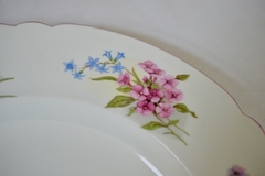 Precioso Juego de 6 Platos Playo de Porcelana Inglesa Shelley fine Bone China England Pattern Stocks C1940