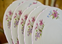 Precioso Juego de 6 Platos Playo de Porcelana Inglesa Shelley fine Bone China England Pattern Stocks C1940 - Funcy Stuff Antiguedades