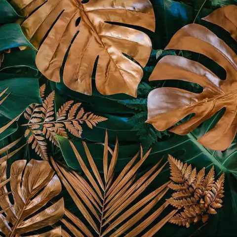 Papel de Parede Painel Folhas & Natureza